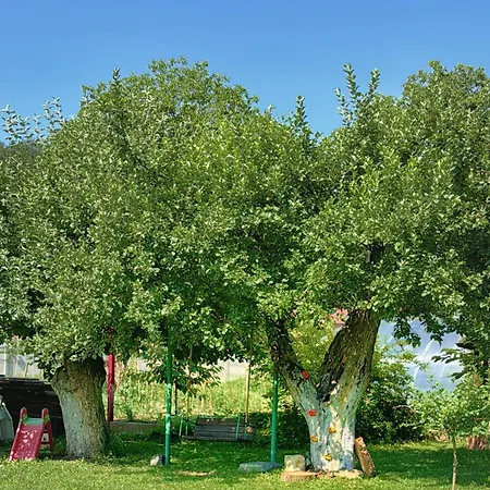 Retreat In The *